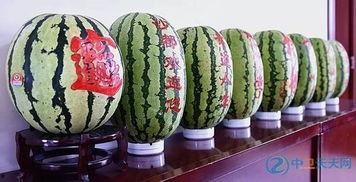 在单位被吃瓜,背后真相与反思