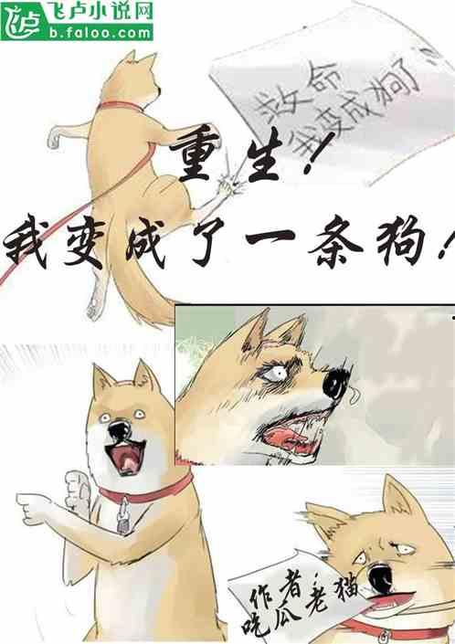 退婚吃瓜小说全文阅读,瓜田里的爱恨情仇