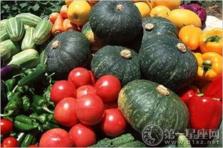 吃蔬菜好还是吃瓜好呢,营养对决，谁更胜一筹？”