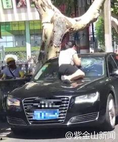 女人堵车吃瓜视频